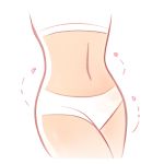 Stomach
